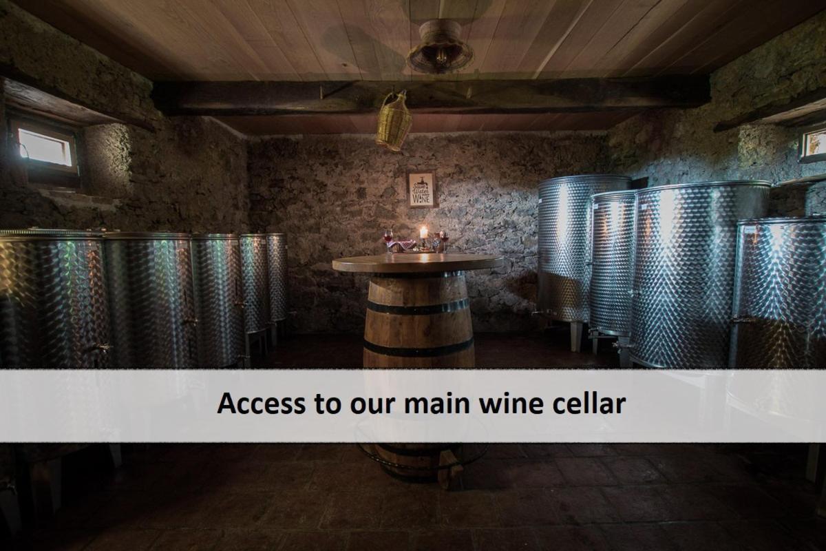 Vineyard Cottage Skatlar Otocec Luaran gambar